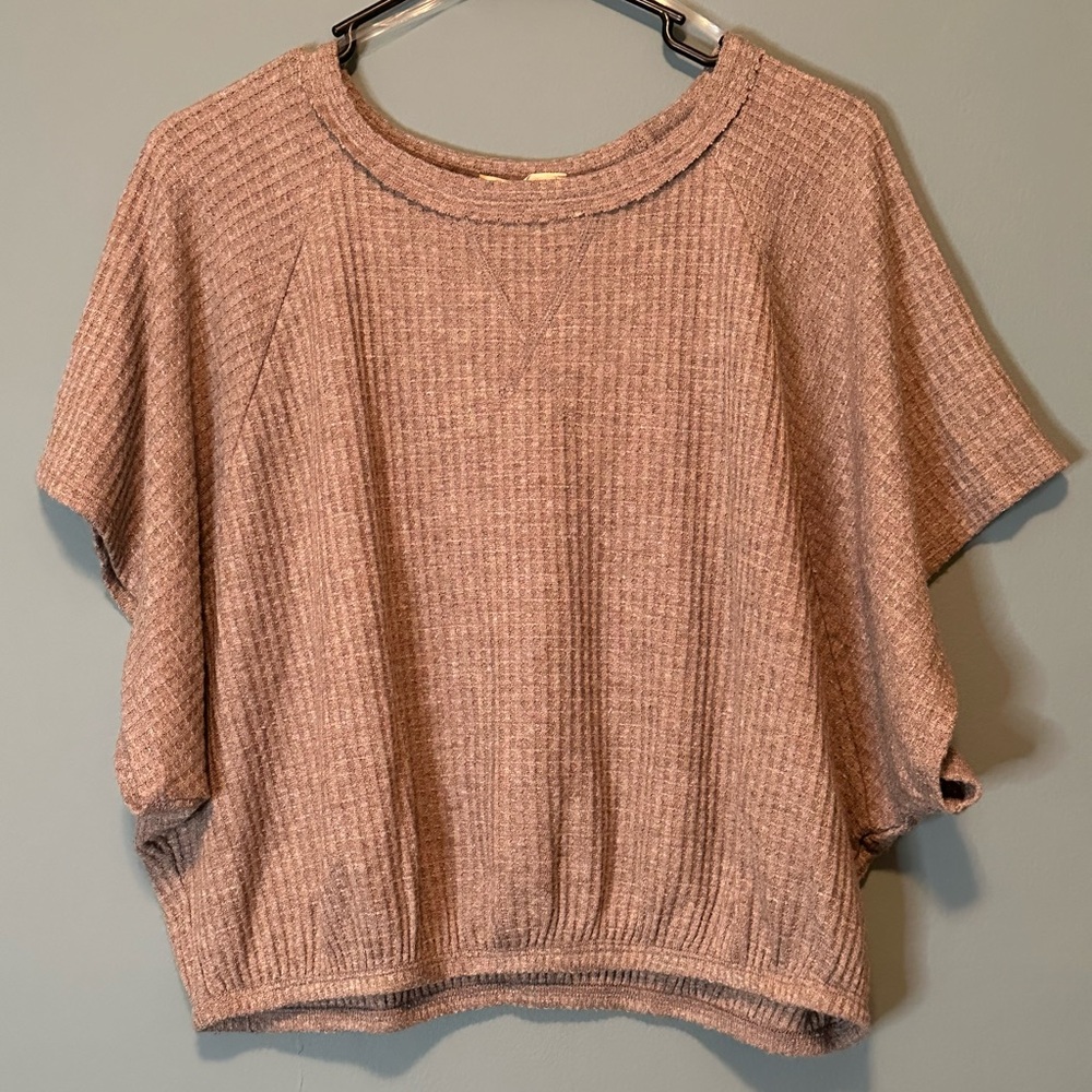 Brown Ribbed Knit Crop Top with Short Sleeves